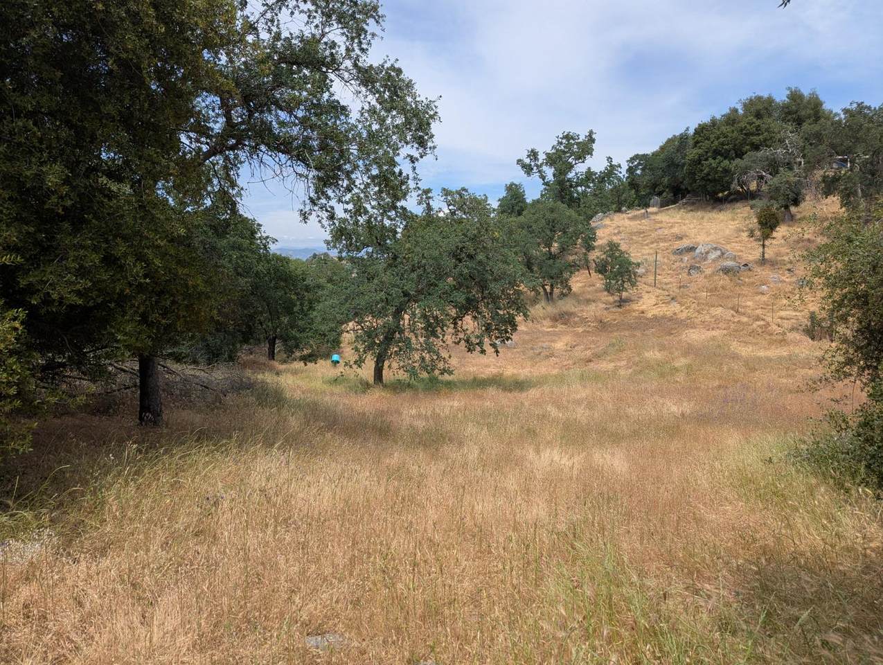 https://bt-photos.global.ssl.fastly.net/fresno/1280_boomver_1_631071-2.jpg