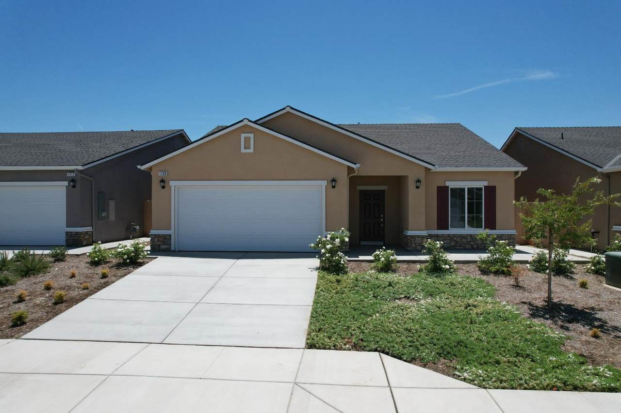 1113 Orange Street - Photo 1