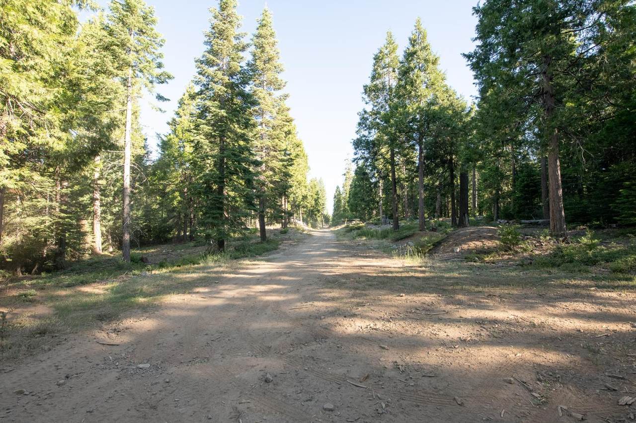 0-00 Littlefield Road - Photo 1