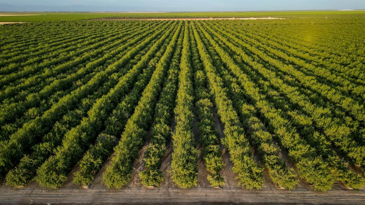 11885 Road 9 - Photo 1