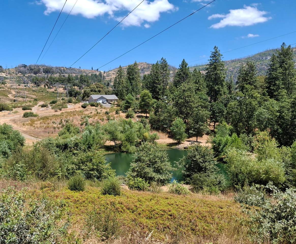 33892 33892 Shaver Springs Road - Photo 1