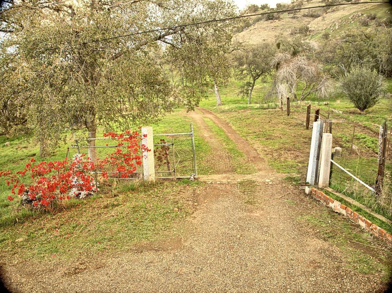 45682 Columbine Lane - Photo 1