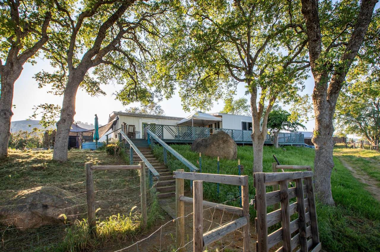 35032 George Smith Road - Photo 1