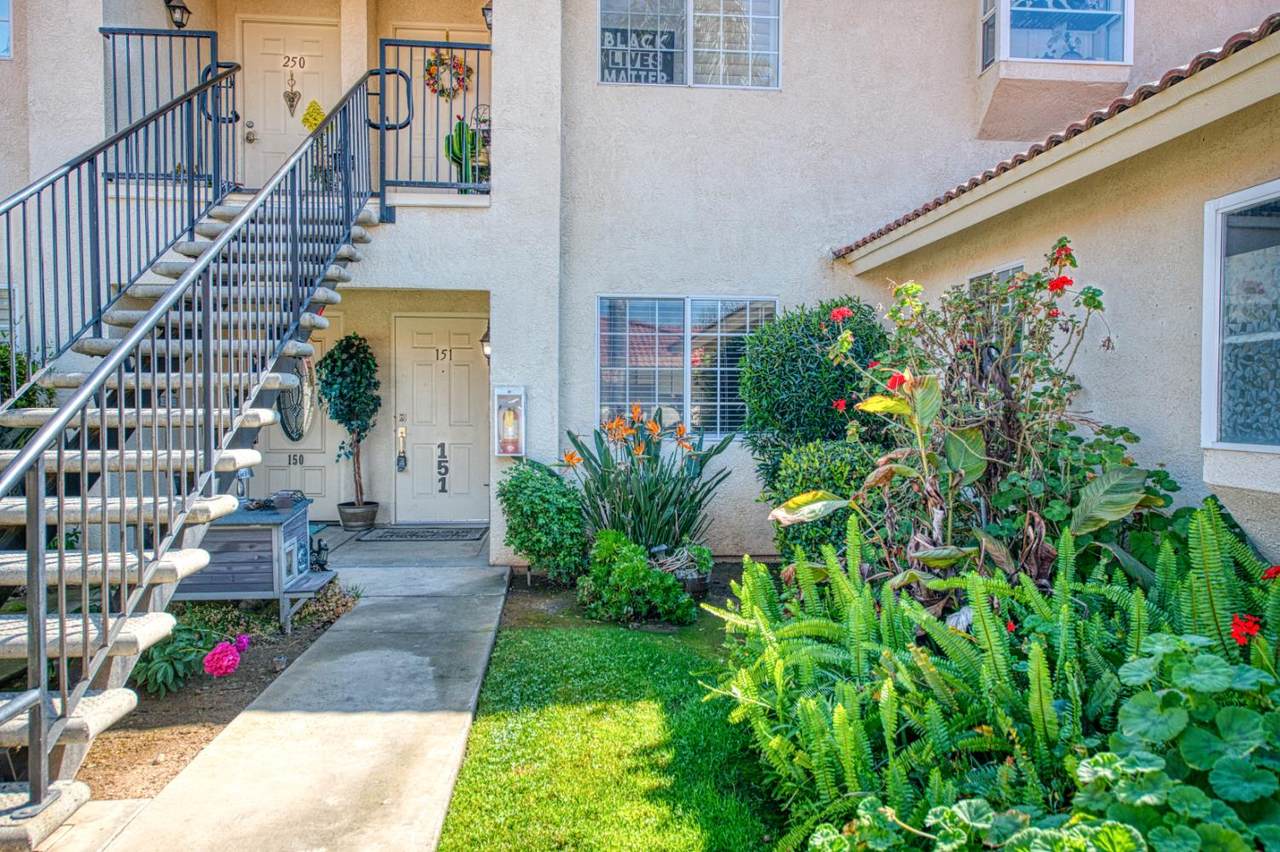 1542 Alluvial Avenue - Photo 1