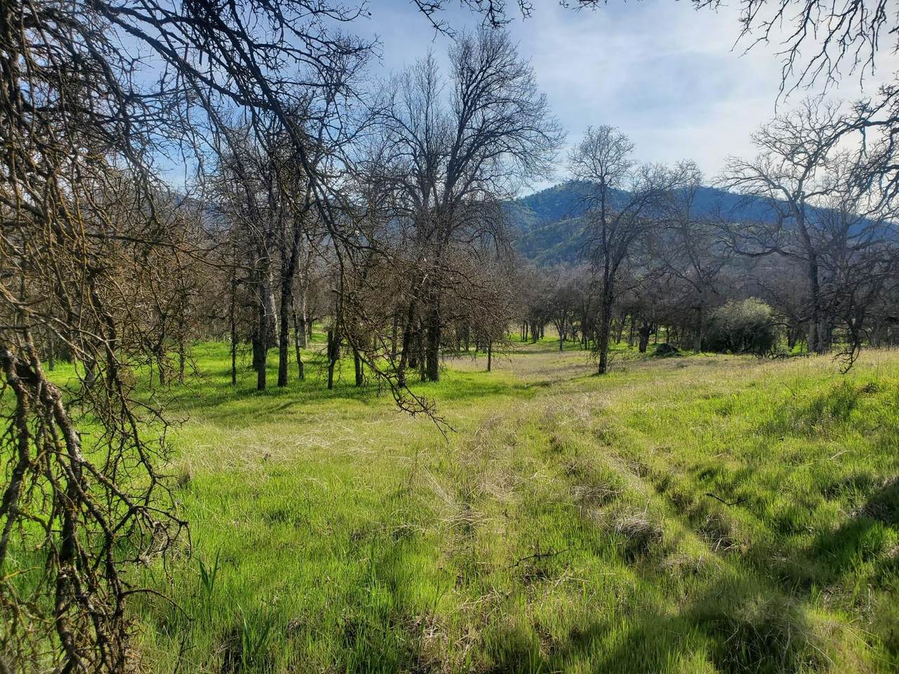 0 Kings Canyon Road - Photo 1