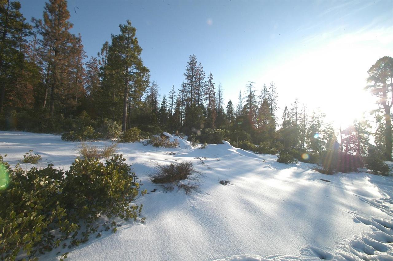 0 Fawn Lily Lane - Photo 1