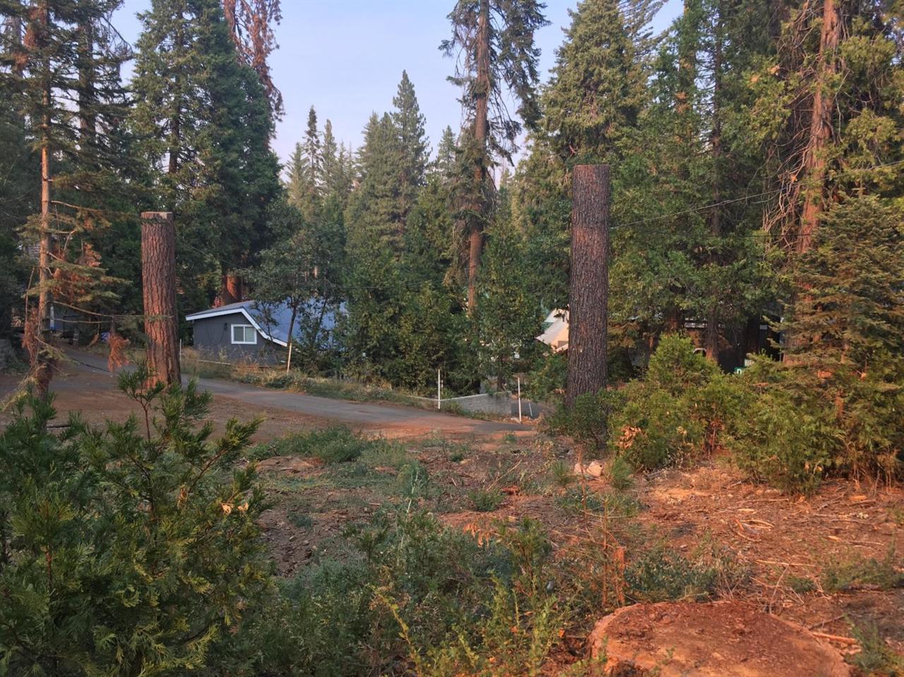 42156 Digger Lane - Photo 1