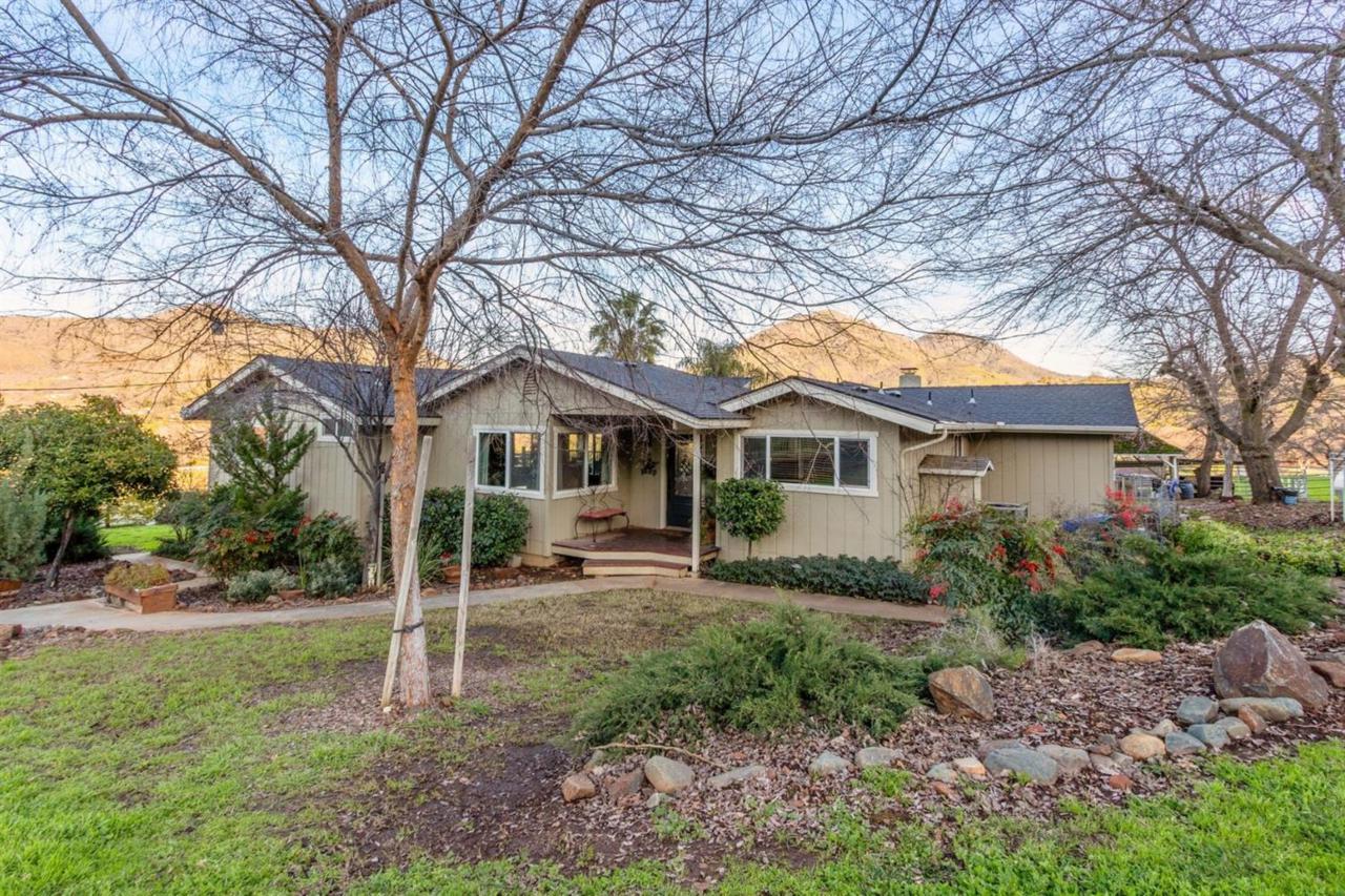 6900 Palomino Drive - Photo 1