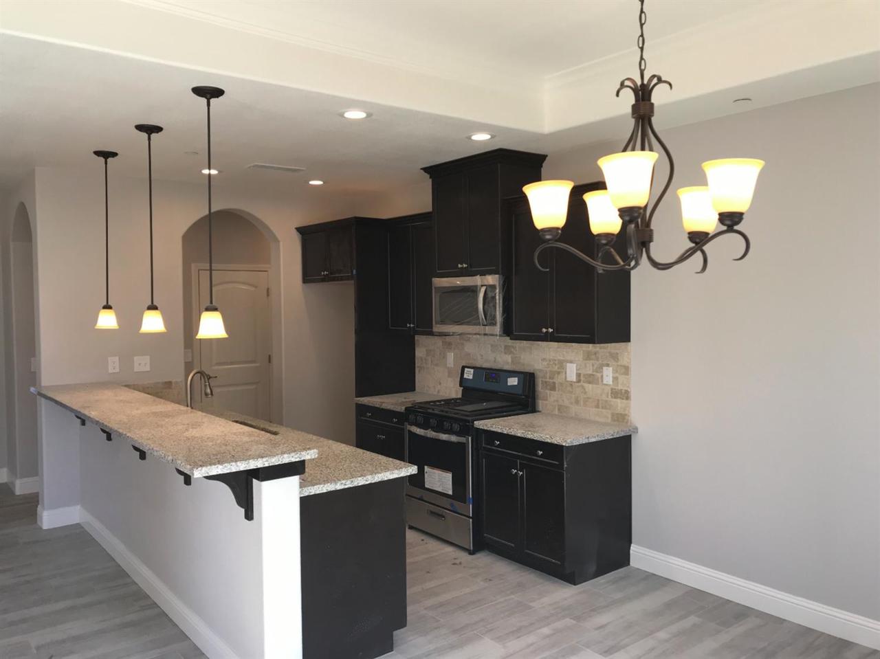 517 Bo Tree Lane - Photo 1