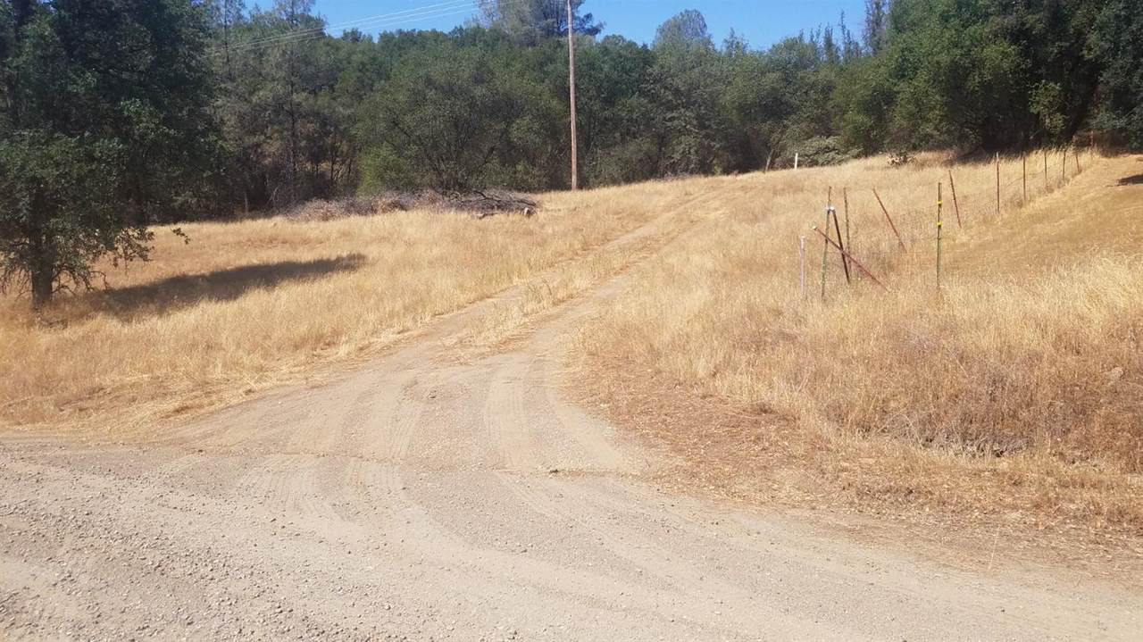 3899 La Rosa Road - Photo 1