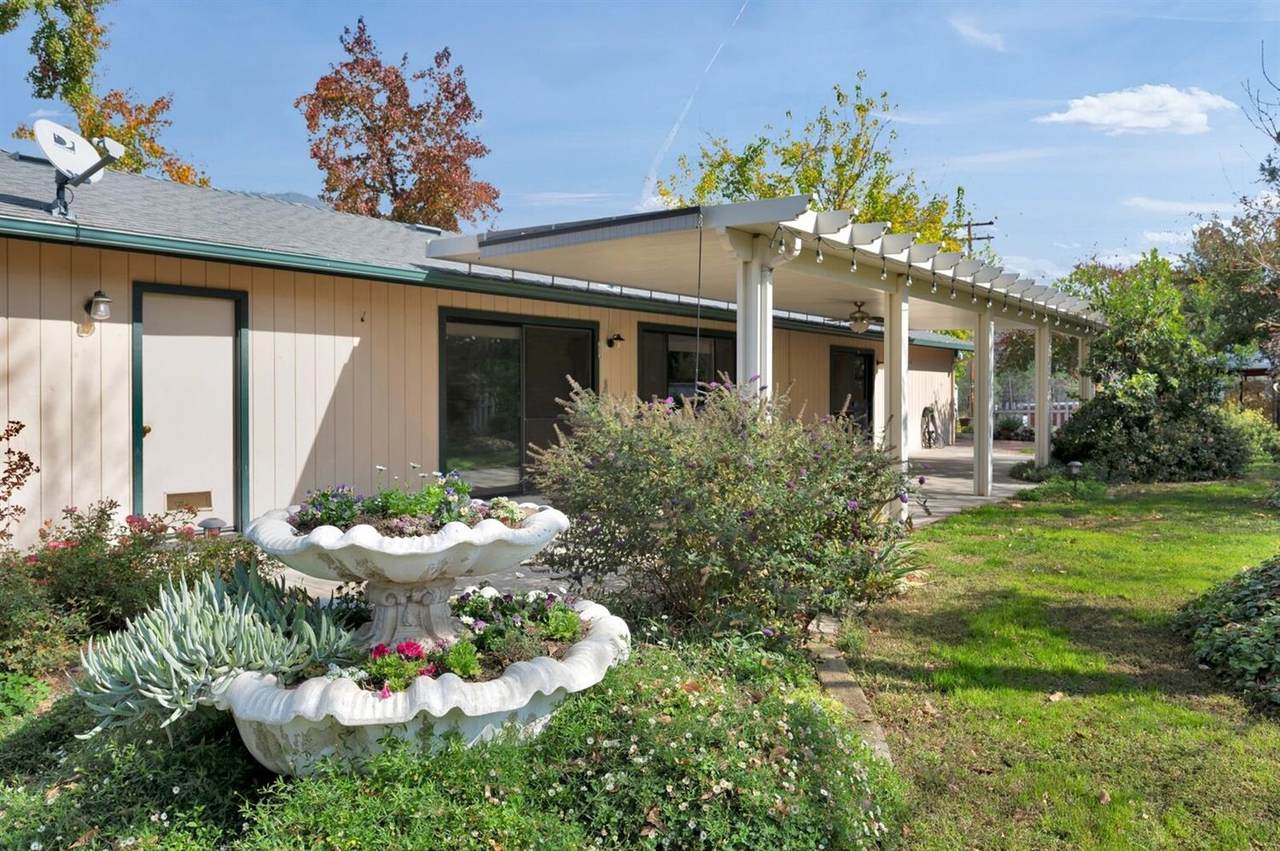 34440 Wiemiller Road - Photo 1