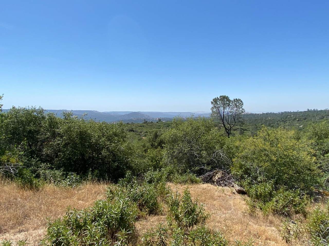 0-38.31 AC Flying O Ranch Rd. - Photo 1