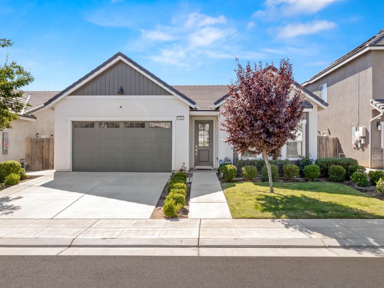 590 Blue Oak Lane - Photo 1