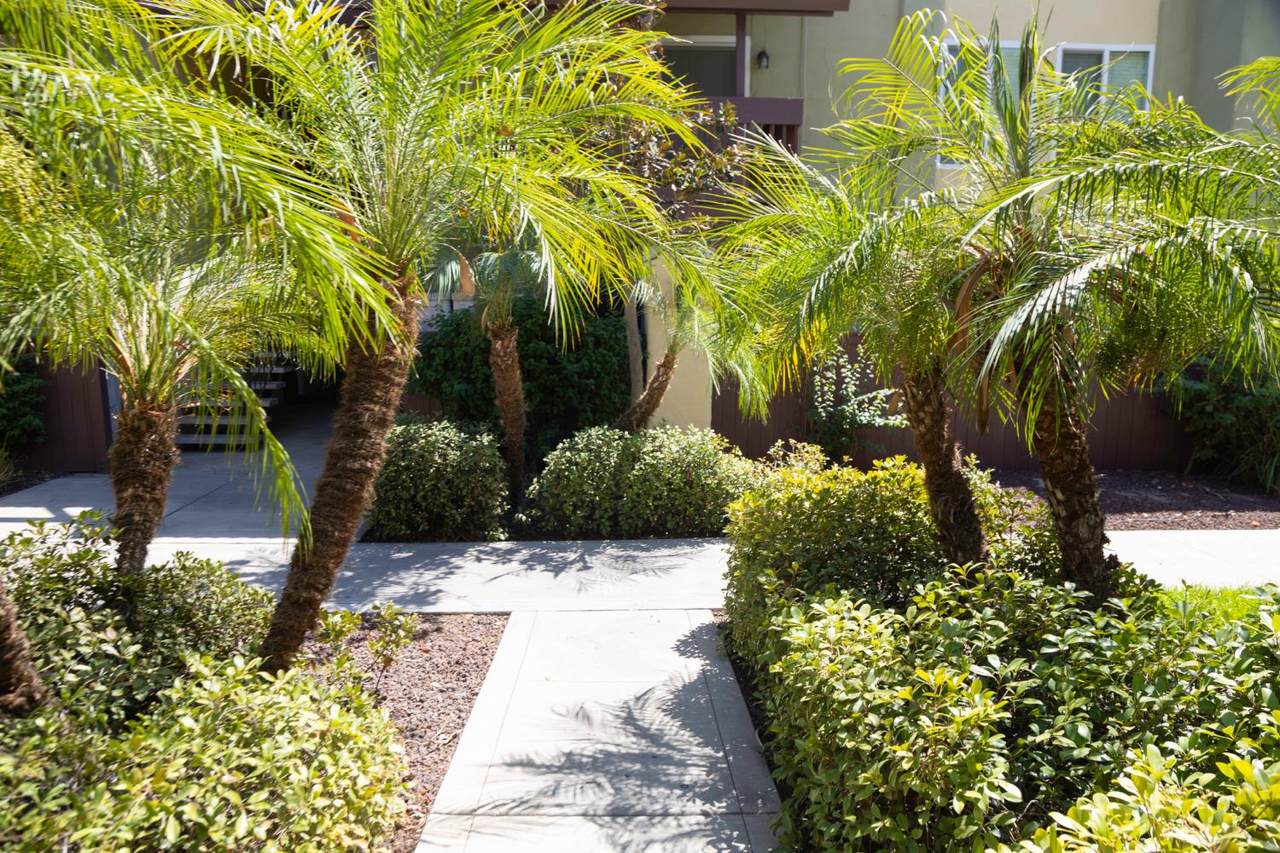 2881 Huntington Boulevard - Photo 1