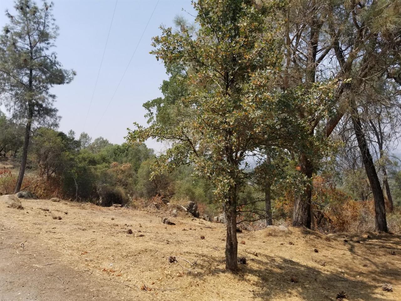 3 Longview Lane - Photo 1