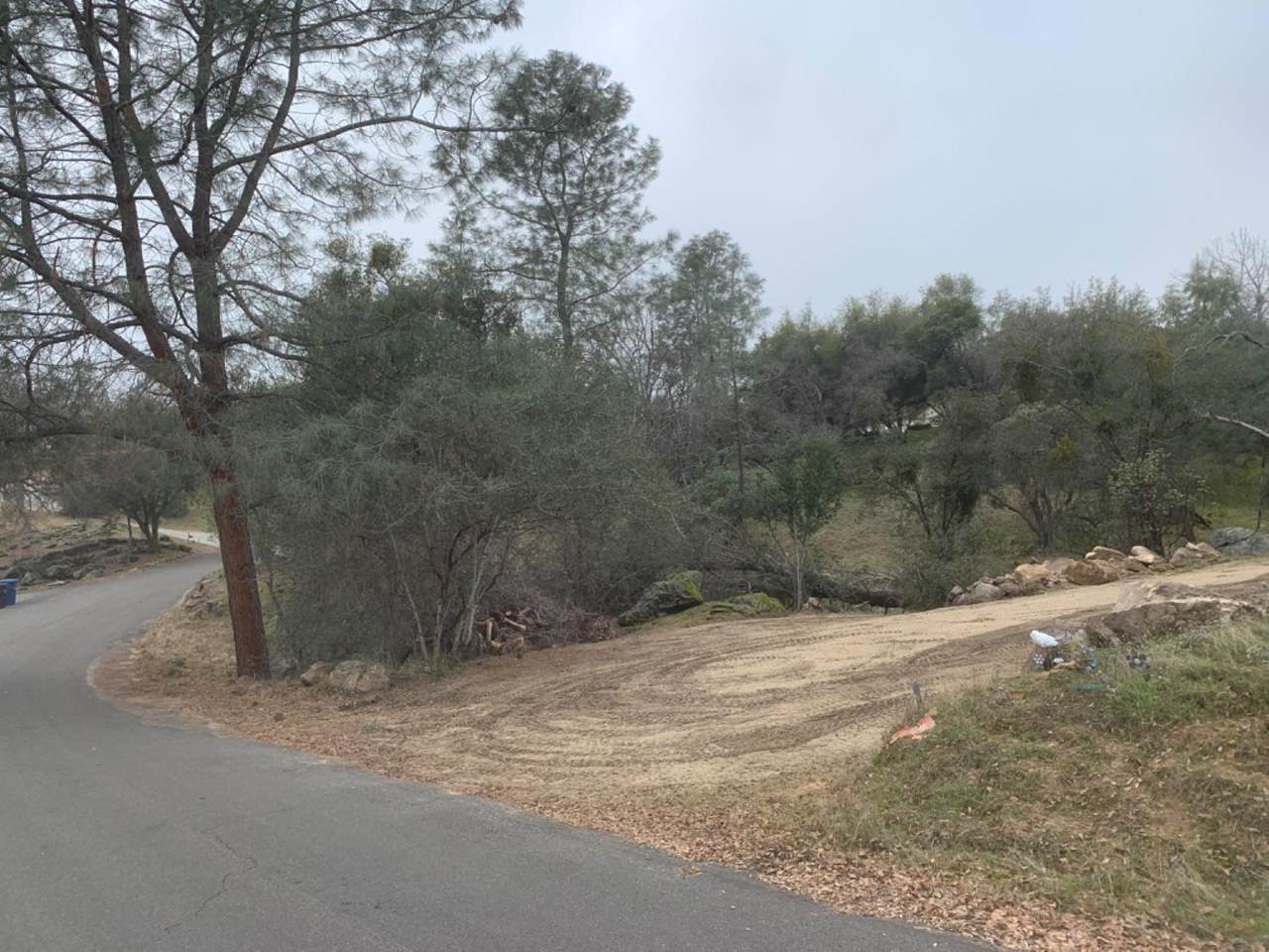 0 2.5 Acre, Person Loop North Drive - Photo 1