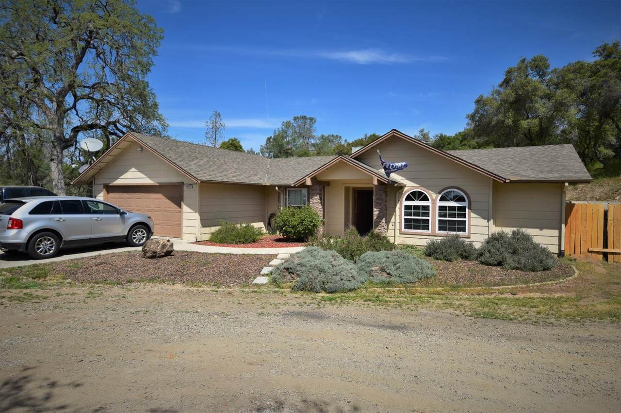 46139 Safari World Drive - Photo 1