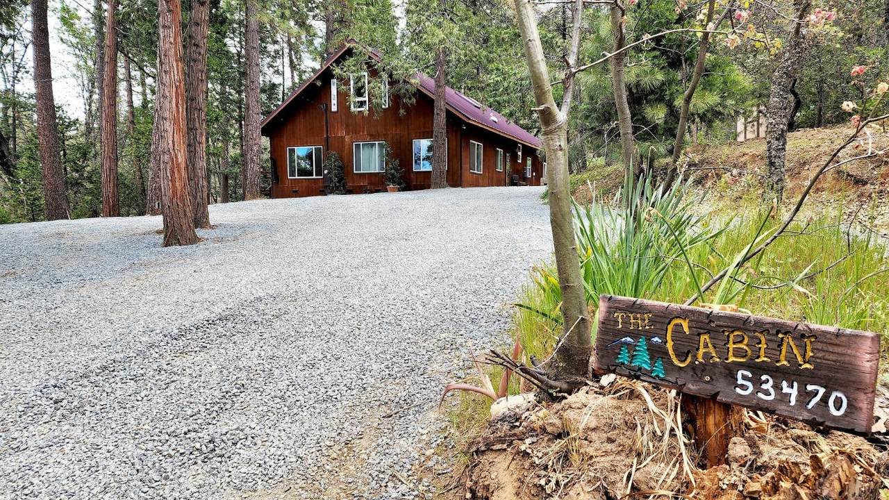 53470 Road 419 - Photo 1