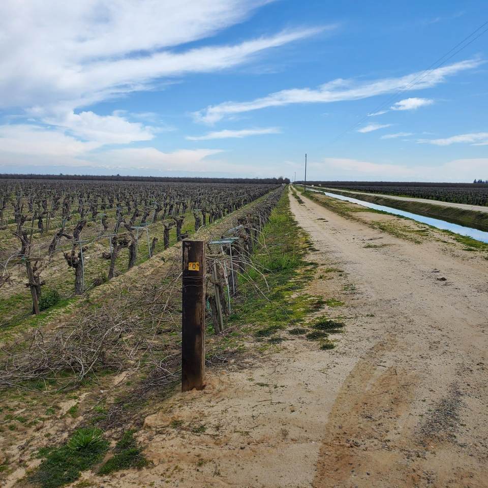 7517 Highway 145 - Photo 1
