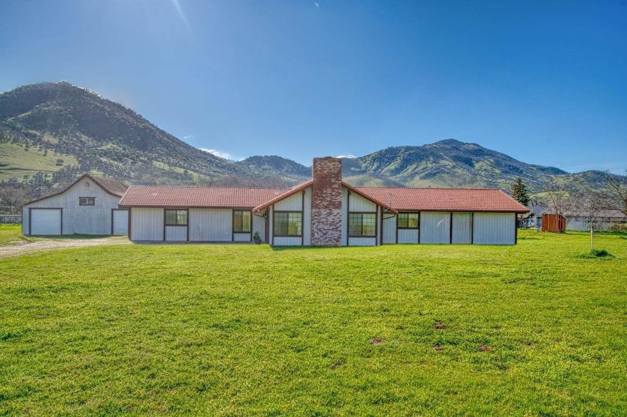 7167 Live Oak Drive - Photo 1