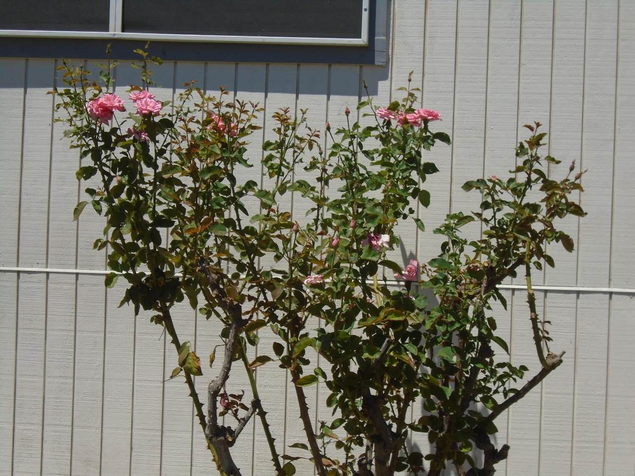 https://bt-photos.global.ssl.fastly.net/fresno/1280_boomver_3_639502-2.jpg