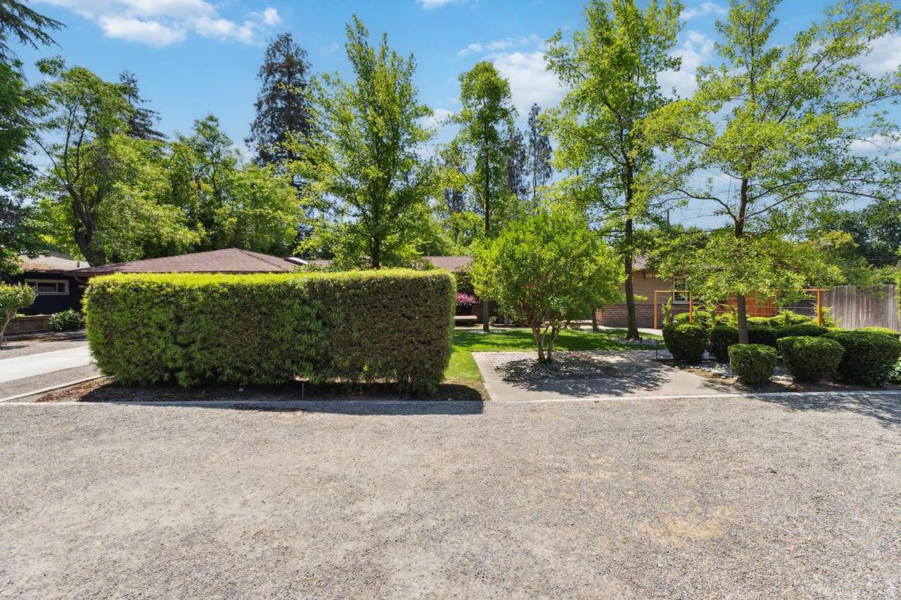 1140 Alamos Avenue - Photo 1