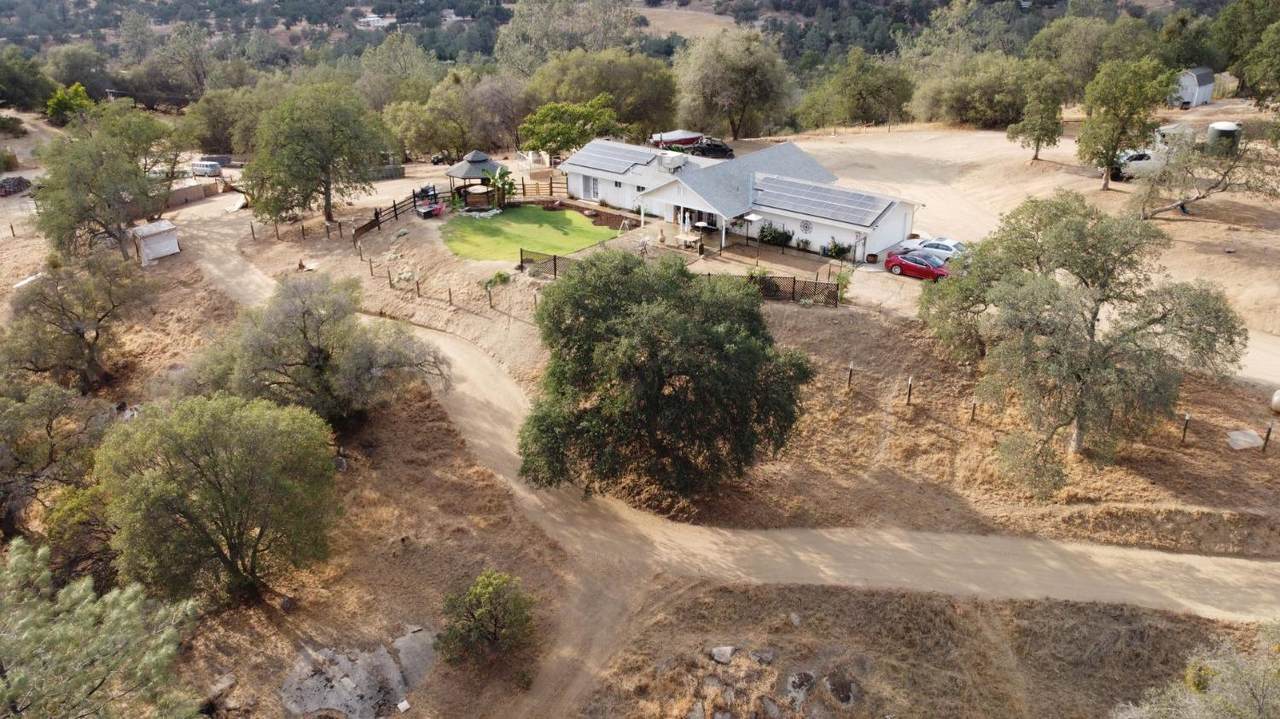 30833 Pennyroyal Lane - Photo 1