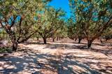 0-000 White Crane Road - Photo 14