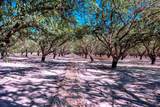 0-000 White Crane Road - Photo 15