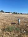 4 Willow Springs - Photo 2