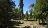 42208 Opal Lane - Photo 2