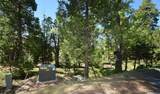 42208 Opal Lane - Photo 3