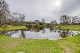 30128 Auberry Road - Photo 90
