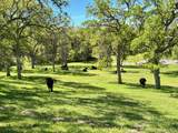30128 Auberry Road - Photo 99