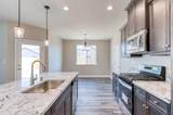 1151 Ambrosia Lane - Photo 11