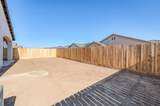 1151 Ambrosia Lane - Photo 30