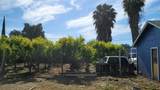 1140 Foothill Avenue - Photo 7