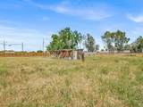 11005 10th Avenue - Photo 29