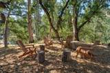 36844 Deer Path Cr - Photo 9