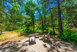 40289 Road 222 - Photo 61