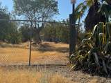 0-0 Lot Ave 21 And Road 26 - Photo 11