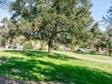 40493 Griffin Drive - Photo 49