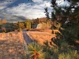 46149 Todd Eymann Road - Photo 4