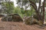 3848 Owl Creek Road - Photo 48