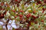 1 Stillmeadow Lane - Photo 10