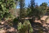 41941 Road 222 - Photo 29