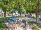 336 Alluvial Avenue - Photo 43