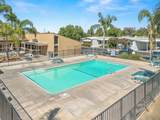 336 Alluvial Avenue - Photo 48