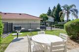 1542 Alluvial Avenue - Photo 37