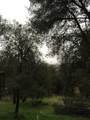 39256 John West Road - Photo 9